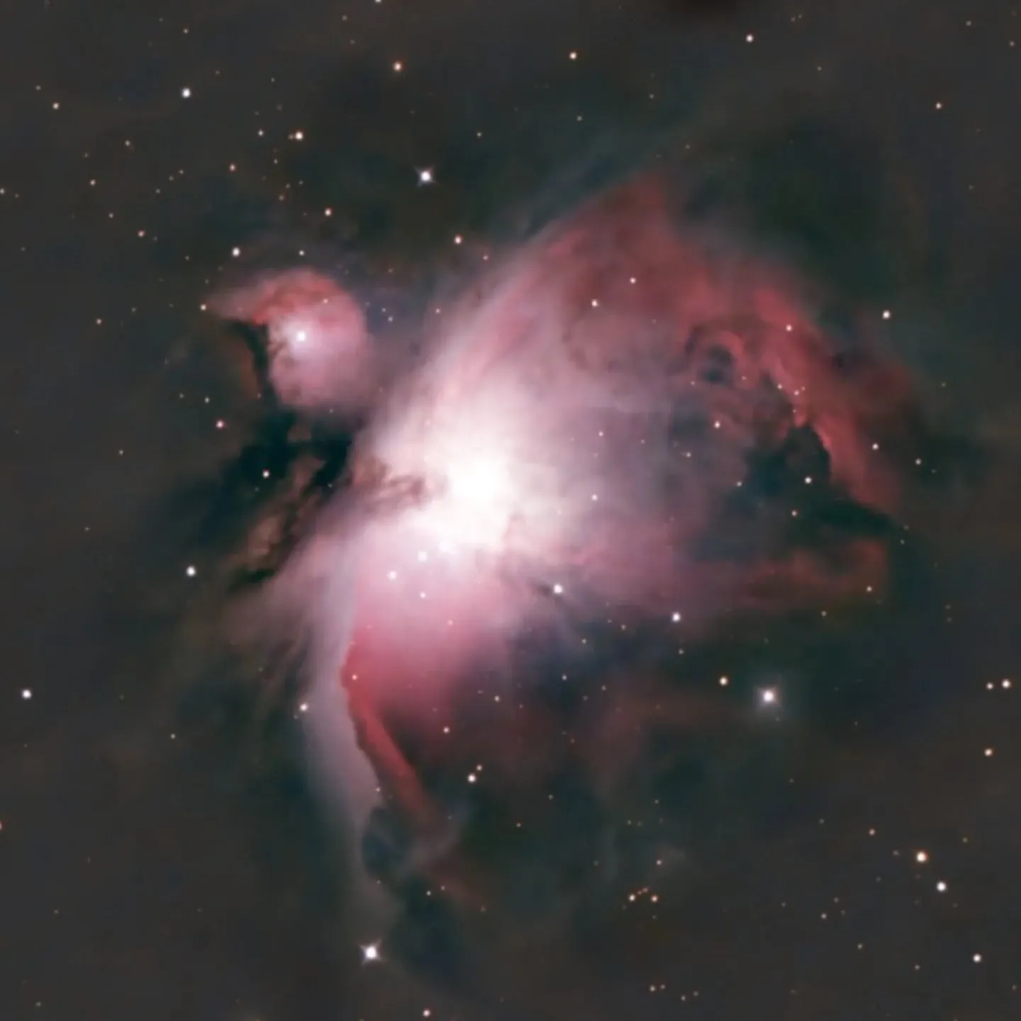 The Orion Nebula (M42) in a processed colour photograph: glowing pink and red gas around a bright core of young stars.